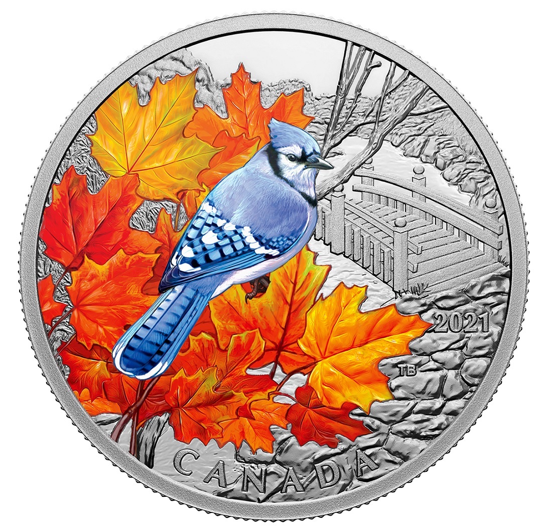 (W037.20.D.2021.201535) 20 Dollars Blue Jay 2021 - Proof silver Reverse (zoom)