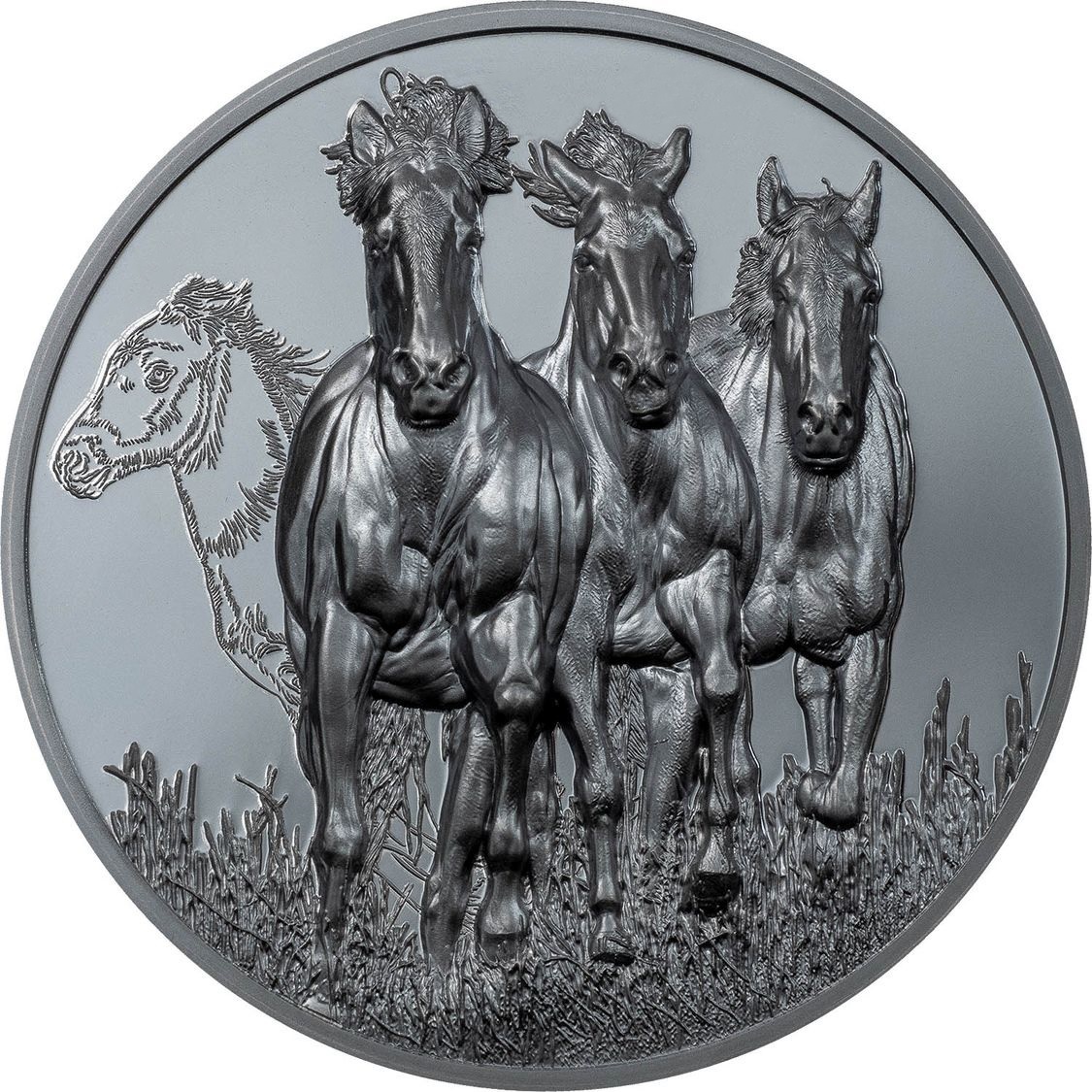 (W151.1000.Tögrög.2022.1) Mongolia 1000 Tögrög Stallion 2022 - Black Proof silver Reverse (zoom)