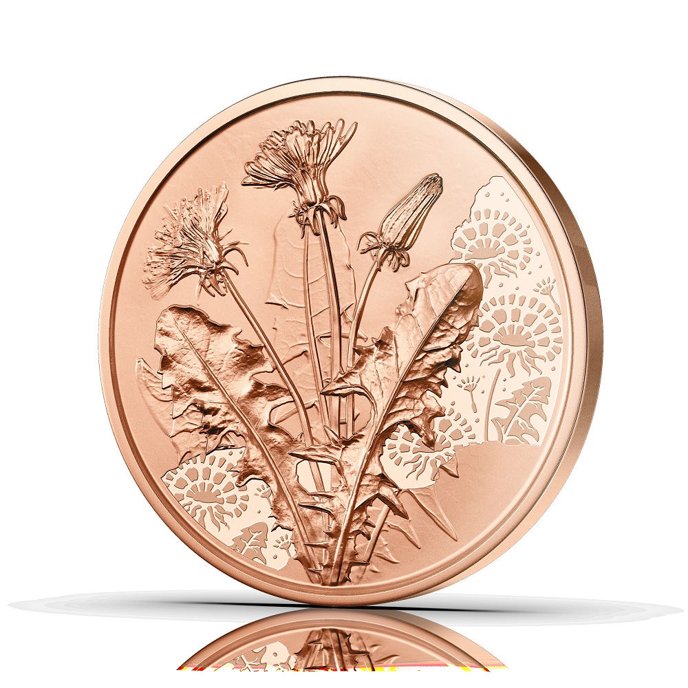 (EUR01.10.E.2022.25621) 10 € Austria 2022 - Dandelion flower Reverse (zoom)