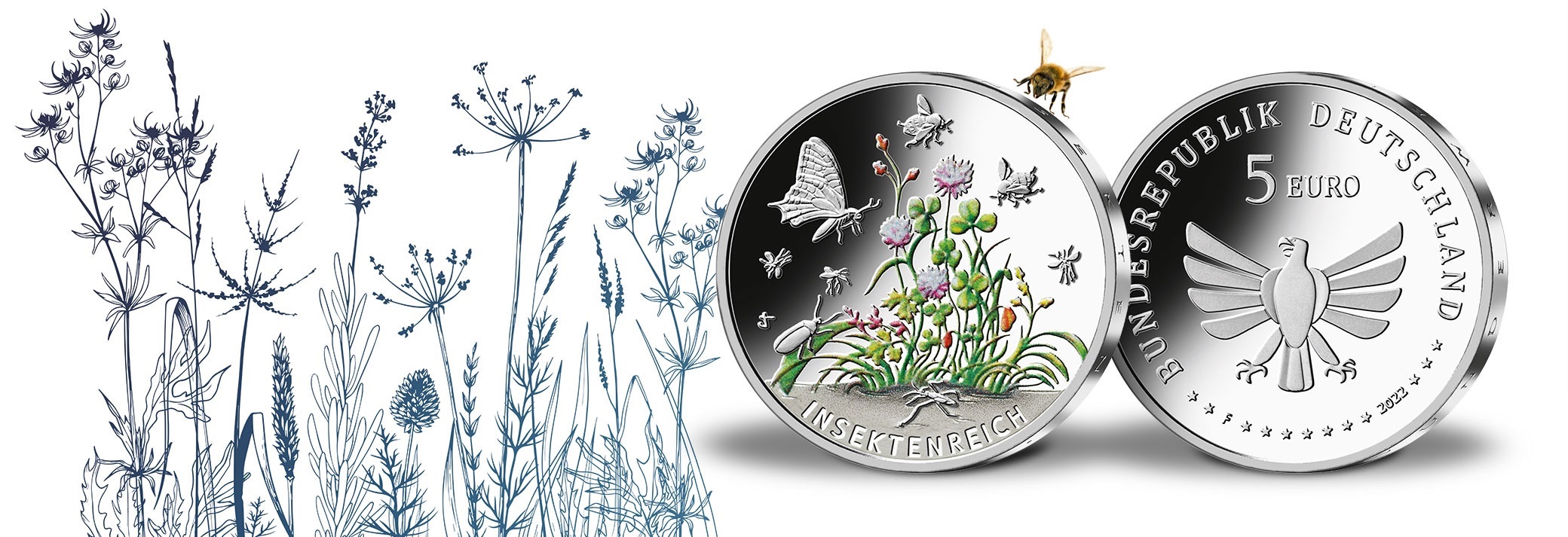 (EUR03.Proof.2022.90N122Q4S5) 5 € Germany 2022 F Proof Ag - Kingdom of insects (blog illustration) (zoom)