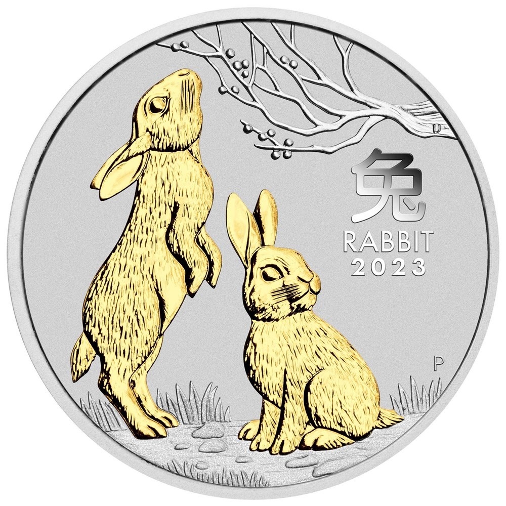 (W017.1.D.2023.3S2306DCAA) 1 Dollar Australia 2023 1 oz silver - Lunar Year of the Rabbit (gilded) Reverse (zoom)