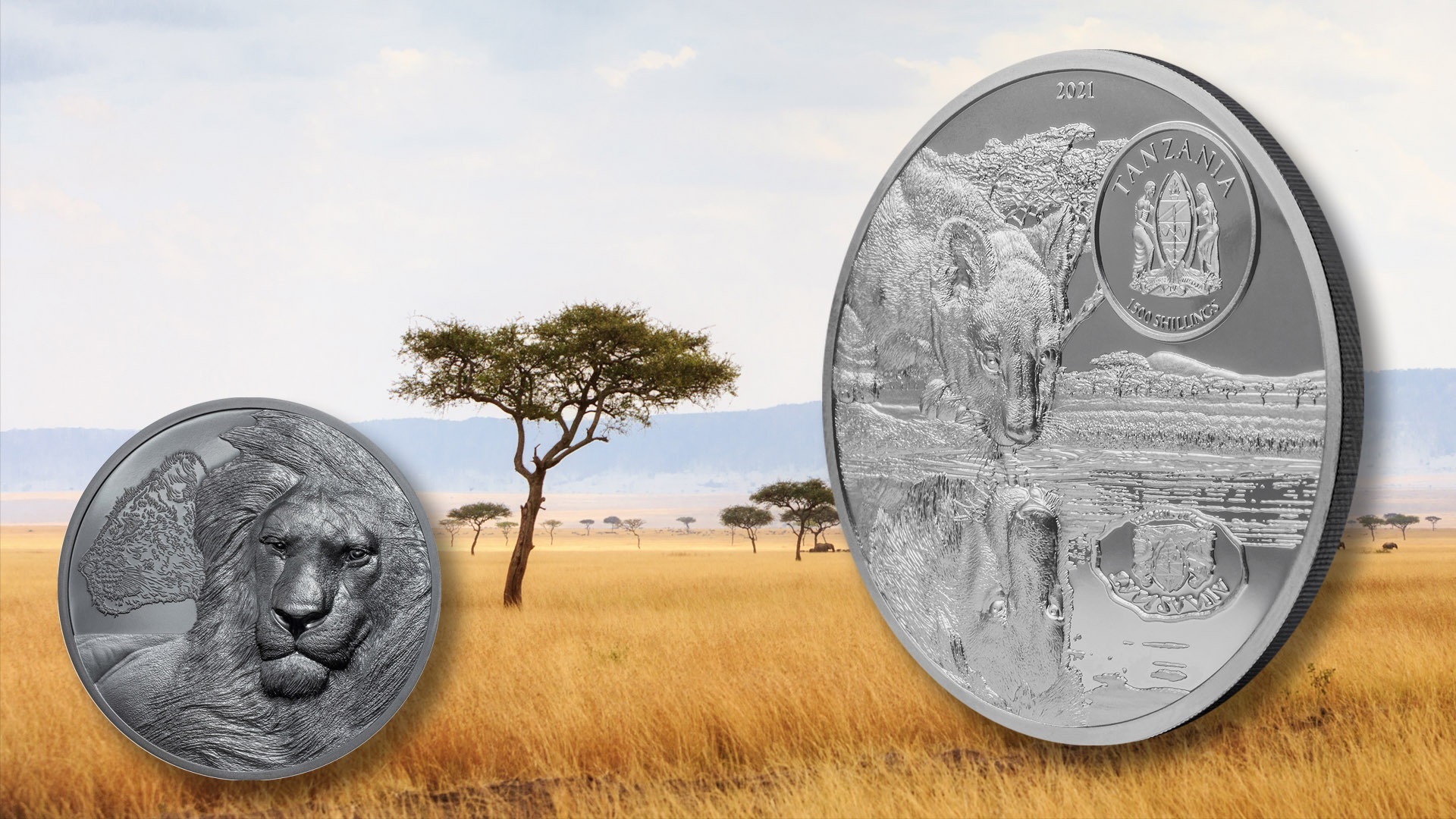 (W215.1500.S.2021.29592) Tanzania 1500 Shillings Lions 2021 - Black Proof silver (blog illustration) (zoom)