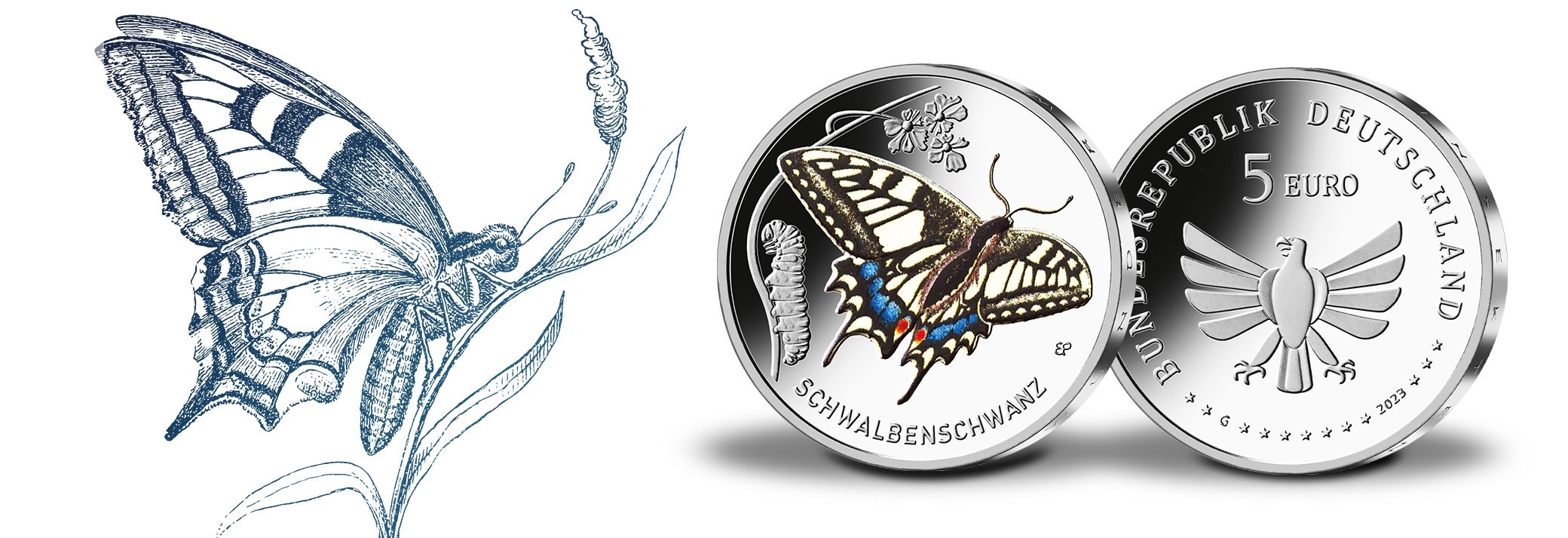 (EUR03.Proof.2023.90N123Q2S5) 5 € Germany 2023 G Proof - Old World swallowtail (blog illustration) (zoom)