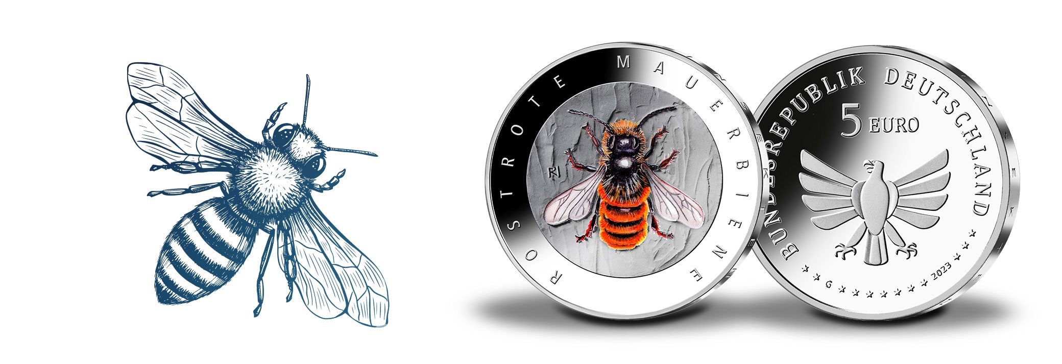 (EUR03.Proof.2023.90N123Q3S5) 5 € Germany 2023 D Proof - Red mason bee (blog illustration) (zoom)