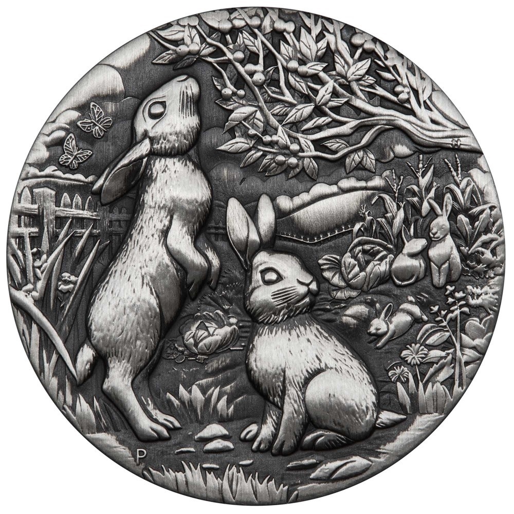 (W017.1.2.D.2023.3S2306CGAA) 2 Dollars Australia 2023 2 oz Antique silver - Year of the Rabbit Reverse (zoom)