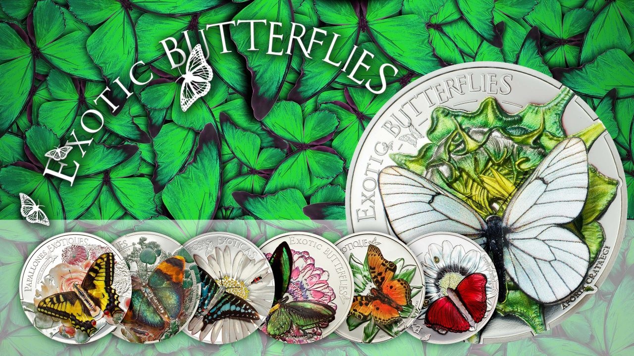 Exotic Butterflies (shop illustration) (zoom)