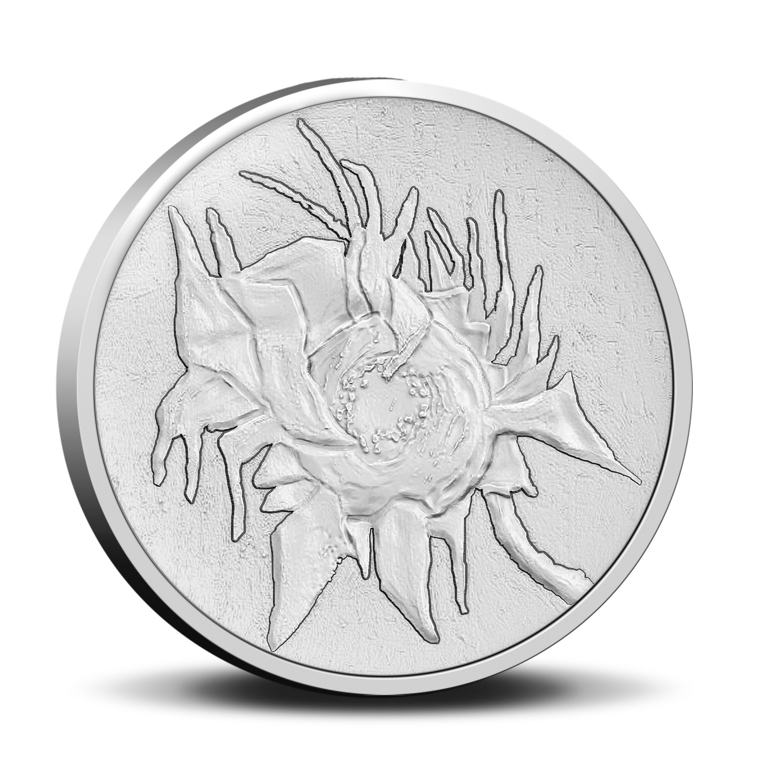 (KNM.2023.0116500) 50 euro cent & medal Netherlands 2023 BU - Van Gogh Museum (medal obverse) (zoom)