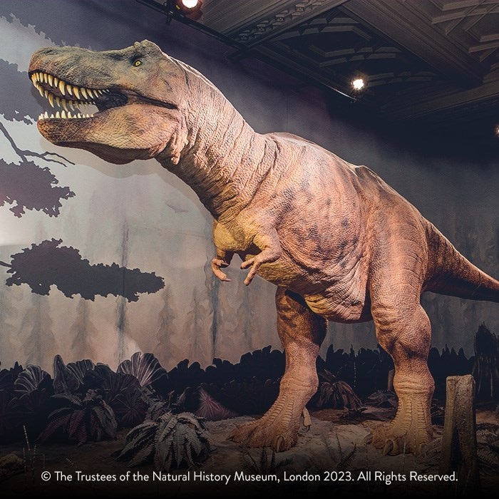 (W185.25.P.2024.UK24TRQOG) 25 £ United Kingdom 2024 quarter oz Proof gold - Tyrannosaurus (blog illustration) (zoom)