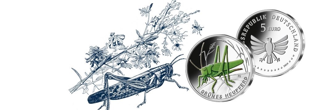 (EUR03.Proof.2024.90N124Q1S5) 5 € Germany 2024 A Proof - Great green bush-cricket (blog illustration) (zoom)