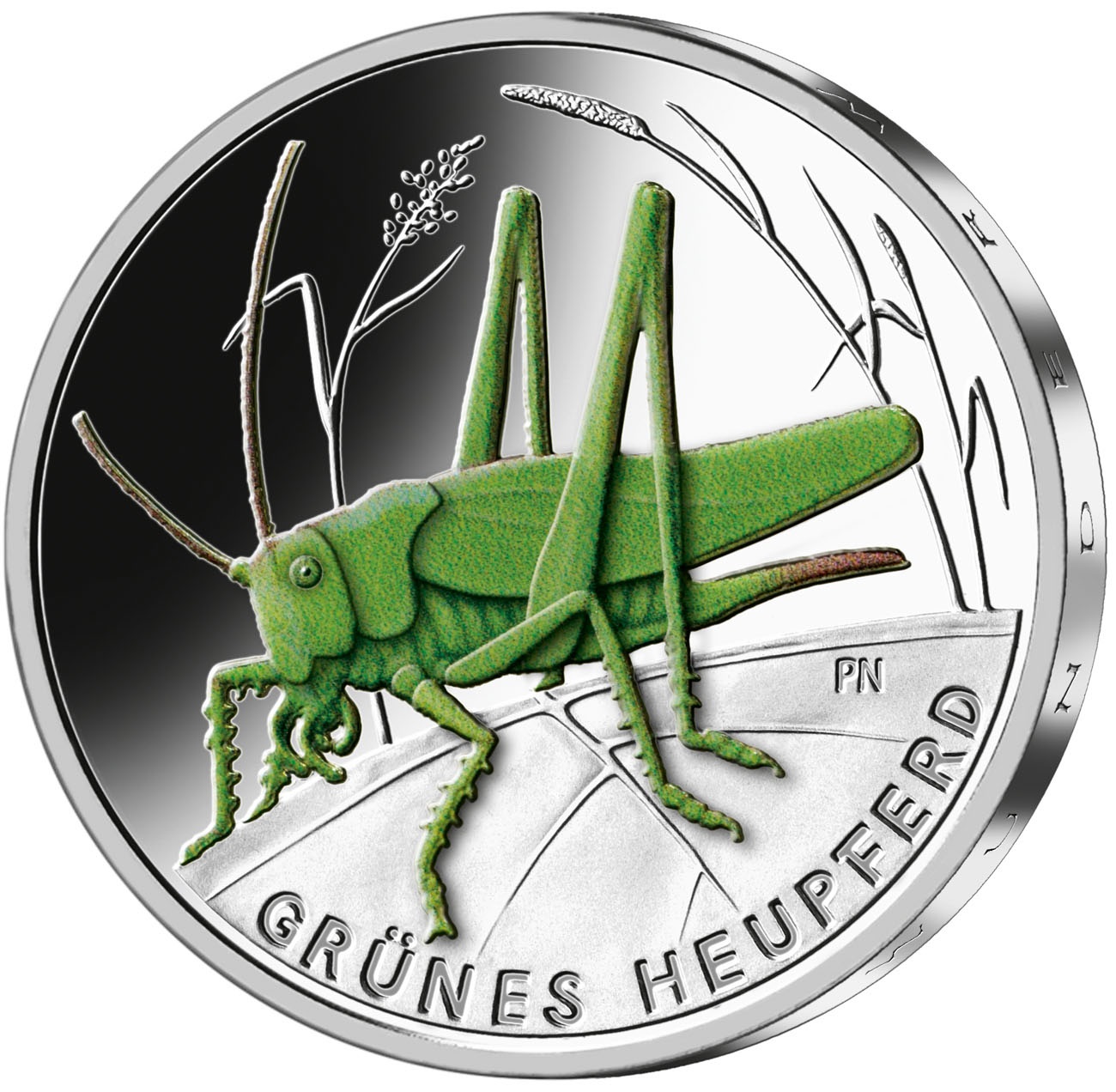 (EUR03.Proof.2024.90N124Q1S5) 5 euro Germany 2024 A Proof - Great green bush-cricket Reverse (zoom)