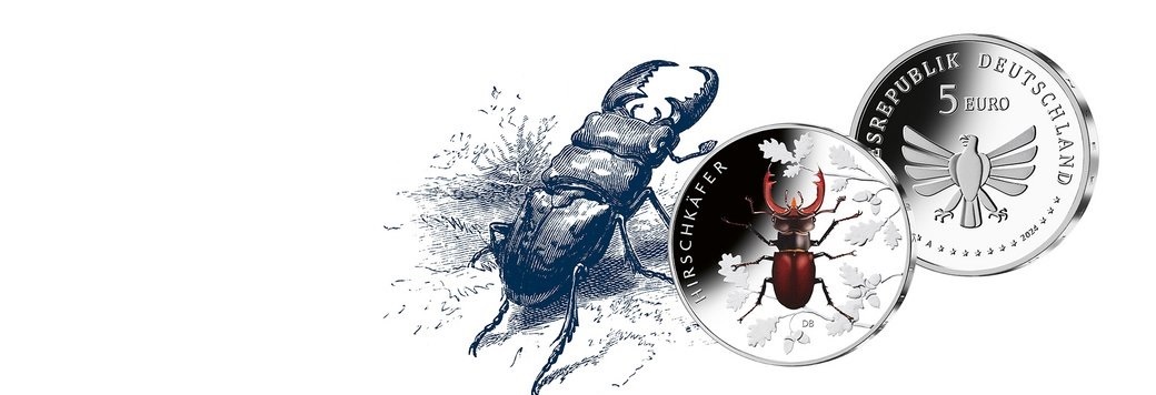 (EUR03.Proof.2024.90N124Q3S5) 5 € Germany 2024 D Proof - European stag beetle (blog illustration) (zoom)