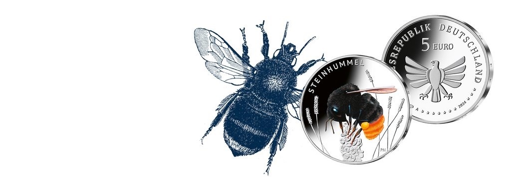 (EUR03.Proof.2024.90N124Q4S5) 5 € Germany 2024 J Proof - Red-tailed bumblebee (blog illustration) (zoom)