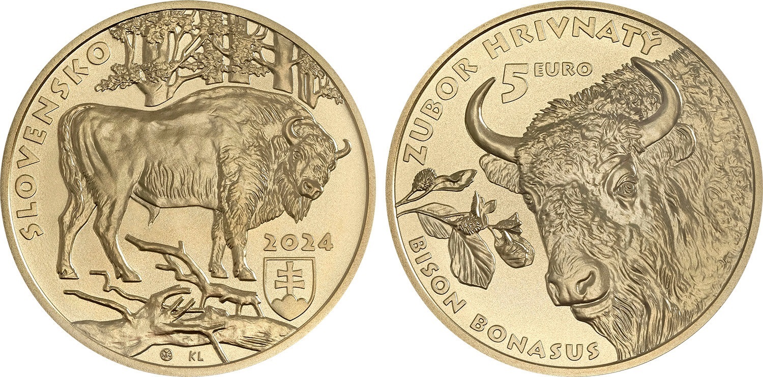 (EUR17.5.E.2024.501498) 5 euro Slovakia 2024 - The European bison (zoom)