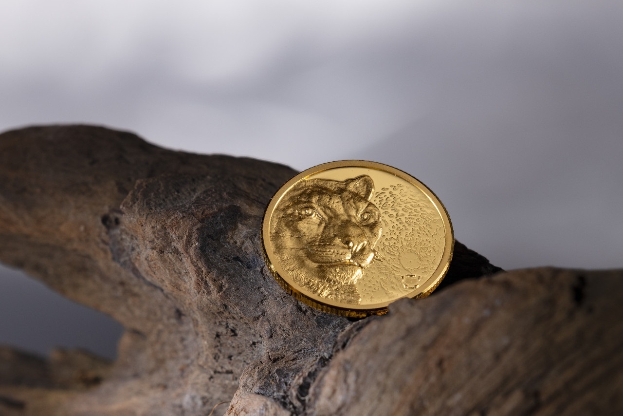 (W151.1000.Tögrög.2024.30568) 1000 Tögrög Mongolia 2024 tenth oz Proof gold - Snow leopard Reverse (blog) (zoom)