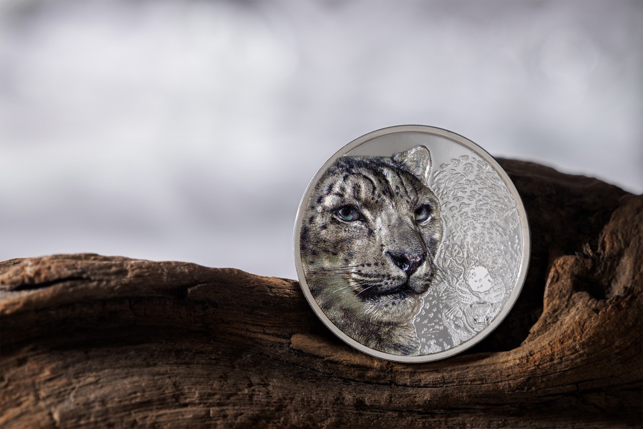 (W151.500.Tögrög.2024.30571) 500 Tögrög Mongolia 2024 1 oz Proof silver - Snow leopard Reverse (blog) (zoom)