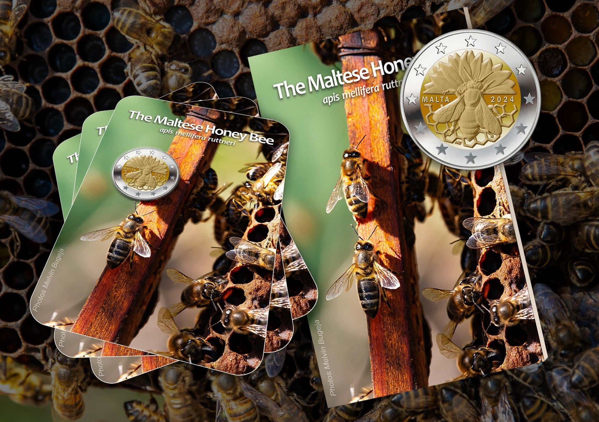(EUR13.BU.2024.2.E.2) 2 euro Malta 2024 BU - Maltese honey bee (blog) (zoom)