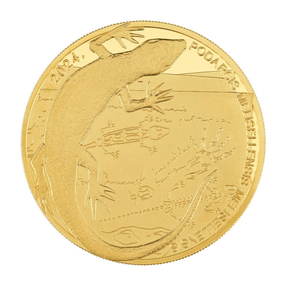 (EUR25.BU.2024.111025) 100 euro Croatia 2024 BU gold - Black Lizard Reverse (zoom)