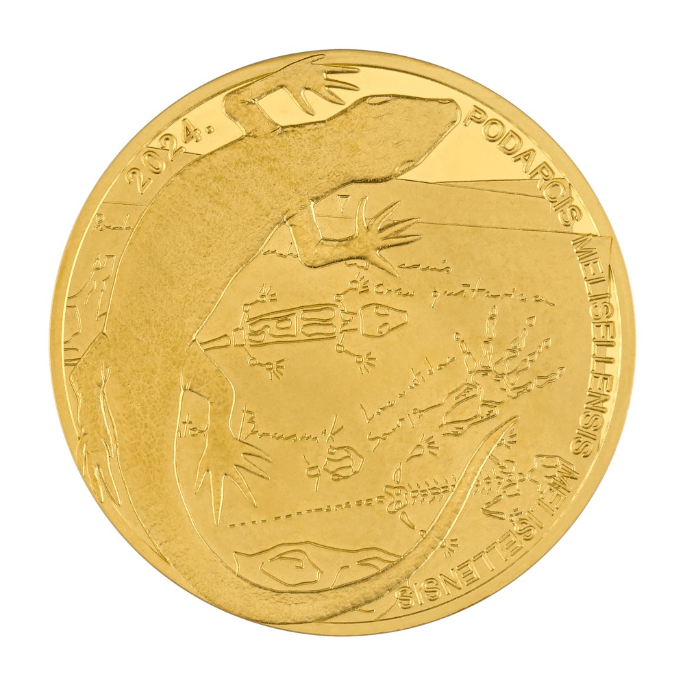(EUR25.BU.2024.111026) 10 euro Croatia 2024 BU gold - Black Lizard Reverse (zoom)