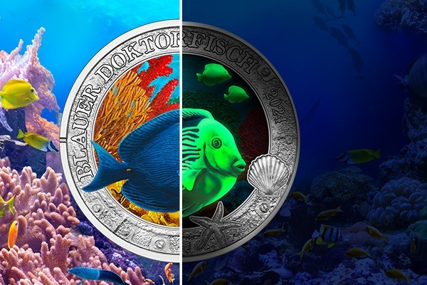 (EUR01.Unc.2024.25901) 3 euro coin Austria 2024 - Blue doctorfish (blog illustration) (zoom)