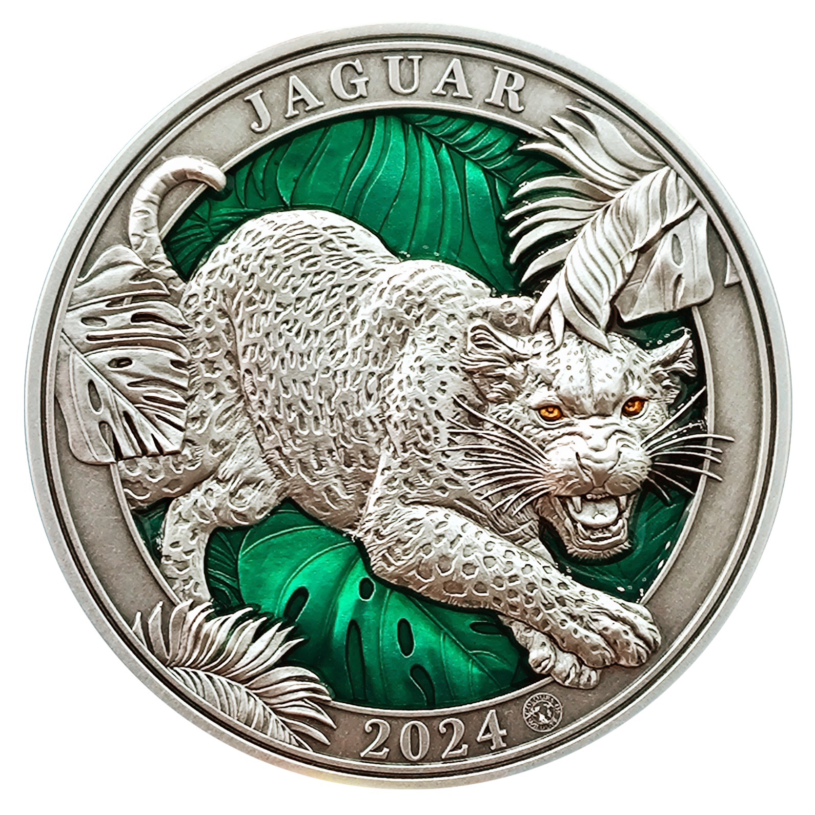 (W022.5.D.2024.3.oz.Ag.1573210119) 5 Dollars Barbados 2024 3 oz Antique silver - Jaguar Reverse (zoom)