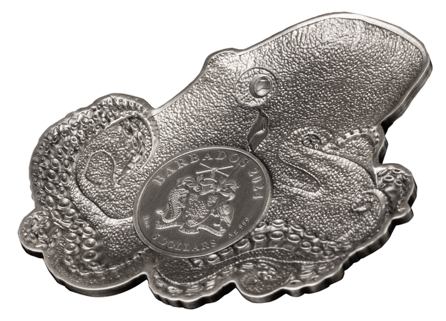 (W022.5.D.2024.3.oz.Ag.1583140116) 5 Dollars Barbados 2024 3 ounces Antique silver - The Octopus Obverse (zoom)