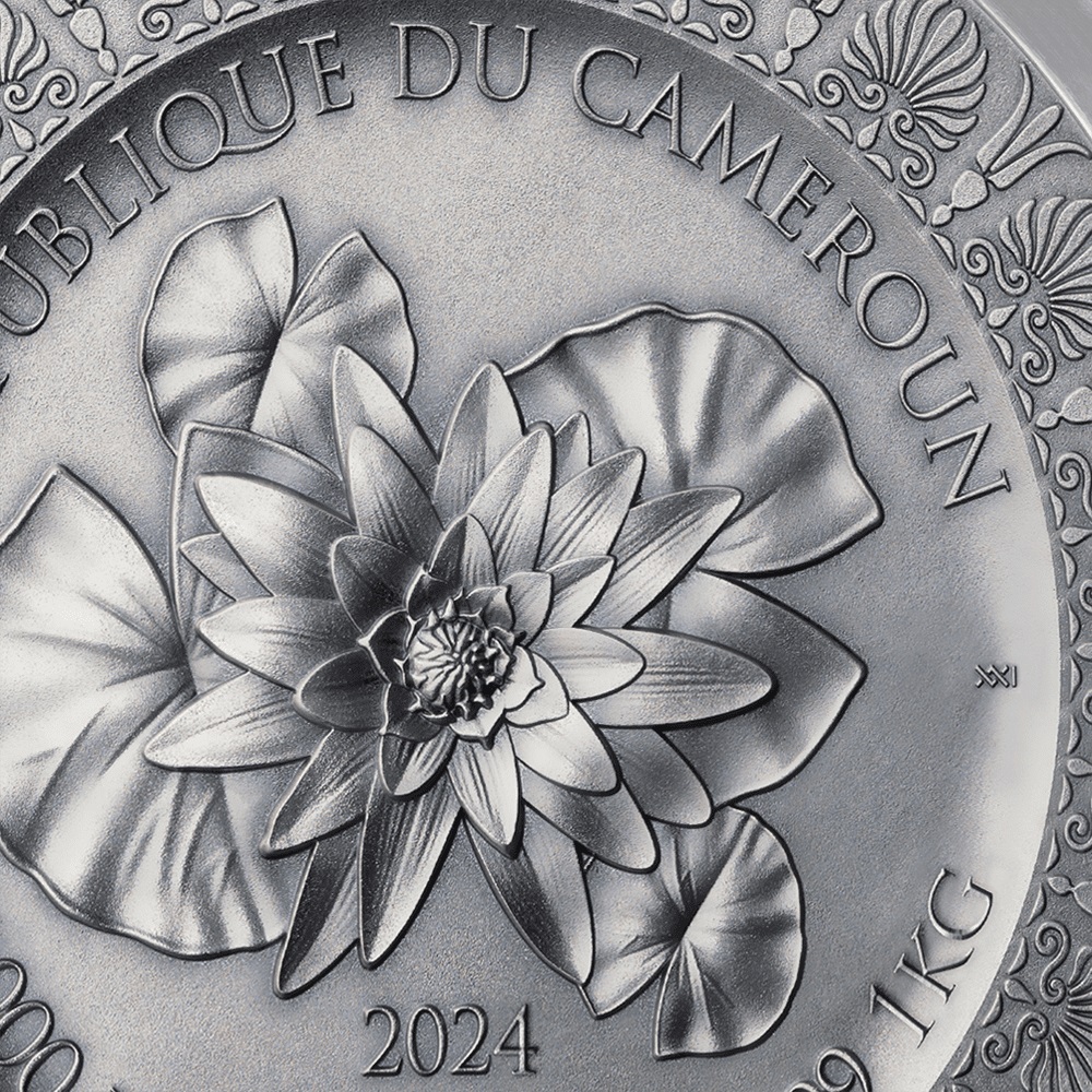 (W036.10000.CFA.2024.1.oz.kg.1) 10000 Francs CFA Cameroon 2024 1 kilo Antique silver - Leda and Swan (zoom)