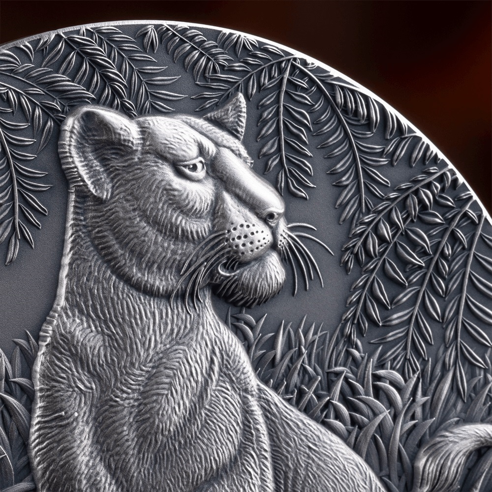(W036.2000.CFA.2024.2.oz.Ag.21) 2000 Francs CFA Cameroon 2024 2 ounces Antique silver - The Grace of Lioness (zoom)