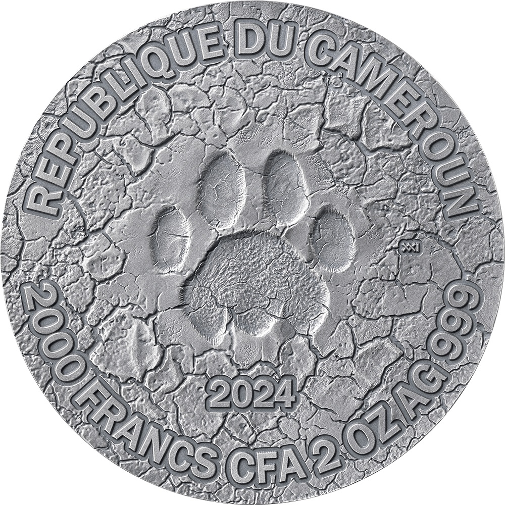 (W036.2000.CFA.2024.2.oz.Ag.21) 2000 Francs CFA Cameroon 2024 2 oz Antique silver - The Grace of Lioness Obverse (zoom)