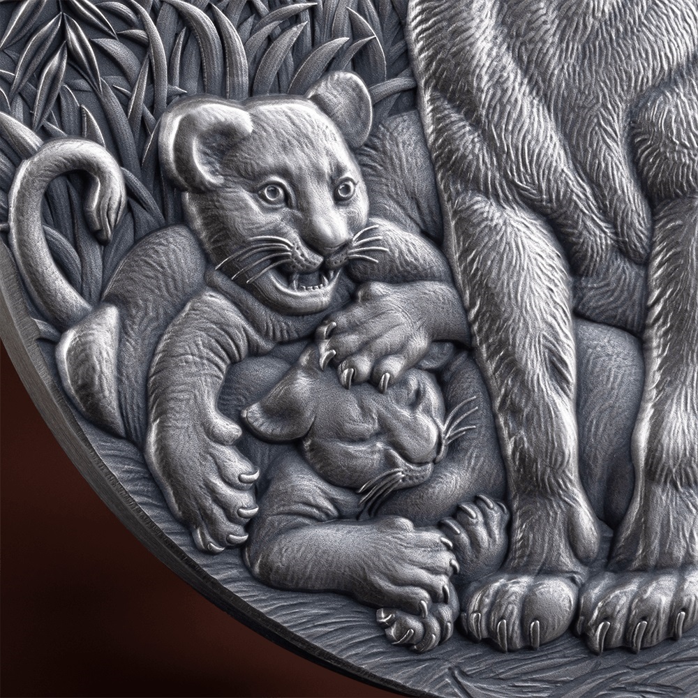 (W036.2000.CFA.2024.2.oz.Ag.21) 2000 Francs CFA Cameroon 2024 2 oz Antique silver - The Grace of Lioness (cubs) (zoom)