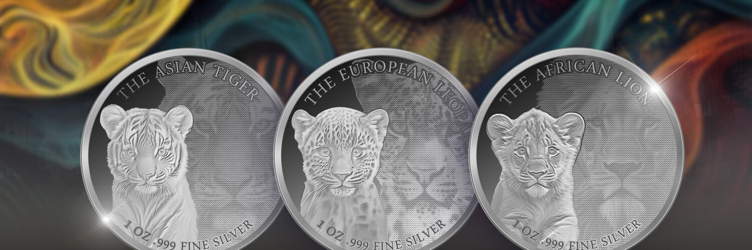 (W045.Proof.set.2024.1171413) Three-coin set 500 Francs CFA Congo 2024 1 ounce Proof silver - Wild cats (blog) (zoom)