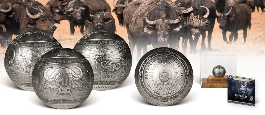 (W057.1000.F.2024.1.kg.Ag.1565460102) 1000 Francs Djibouti 2024 1 kilogram Antique silver - Buffalo (blog) (zoom)