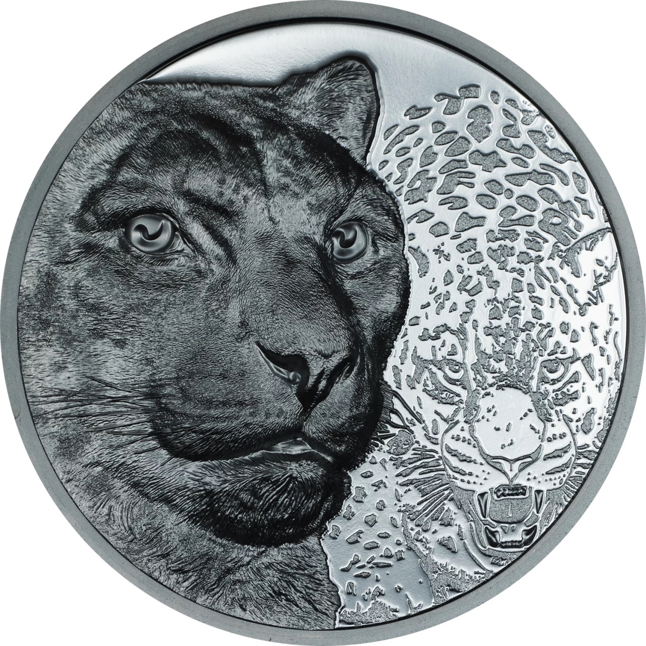 (W151.1000.Tögrög.2024.30572) 1000 Tögrög Mongolia 2024 2 oz Black Proof silver - Snow leopard Reverse (zoom)