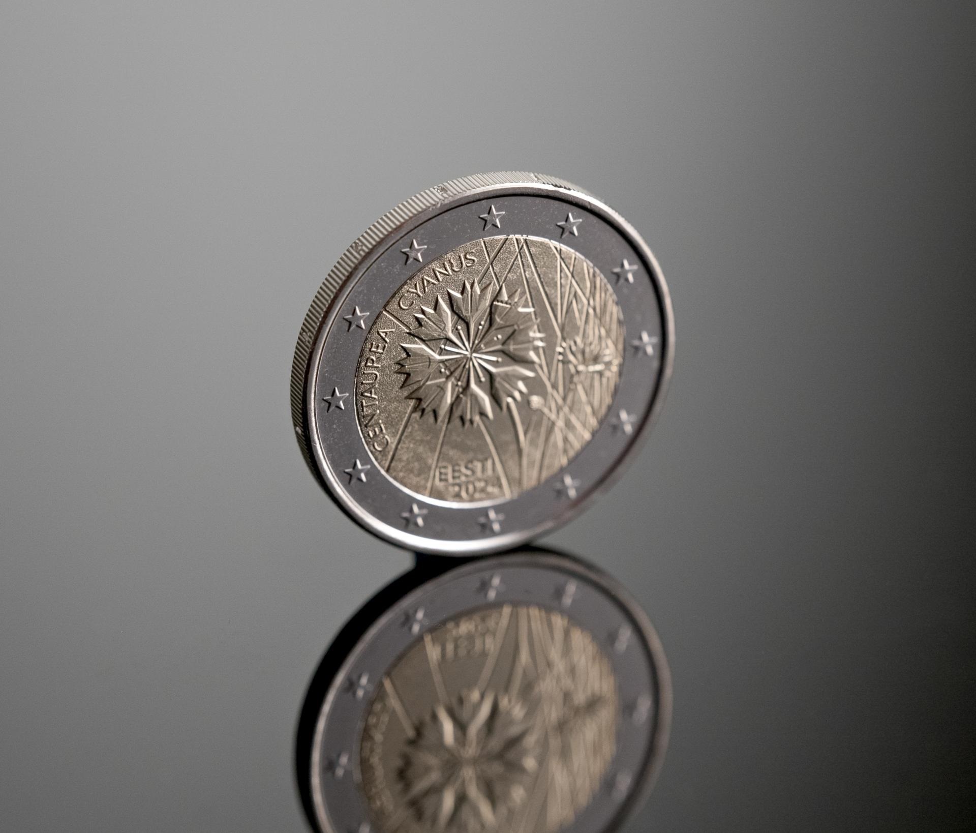 2 euro Estonia 2024 - Cornflower (blog illustration) (zoom)