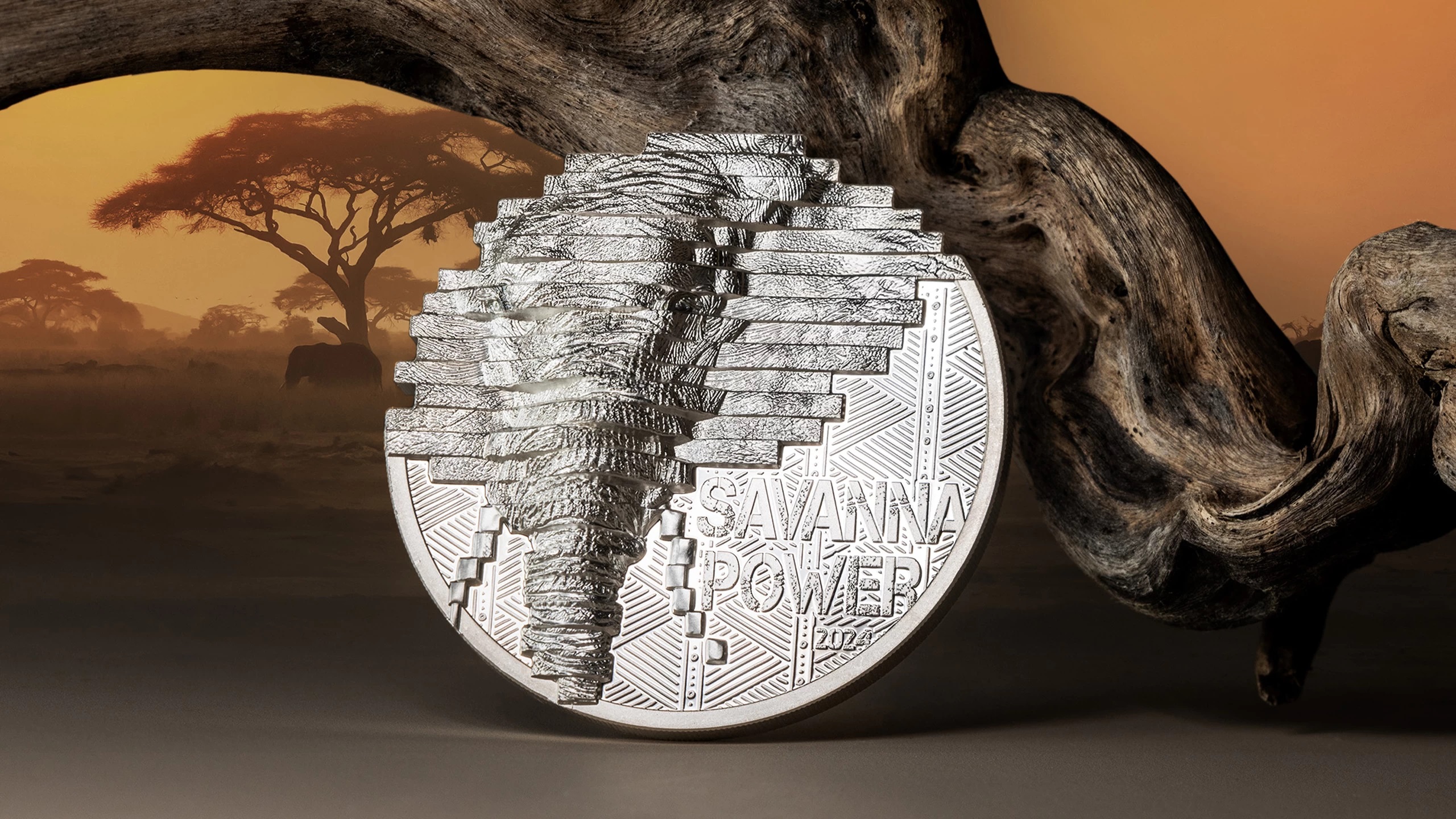 (W099.10.D.2024.30749) Cook Islands 10 Dollars Elephant 2024 - Proof silver (blog illustration) (zoom)