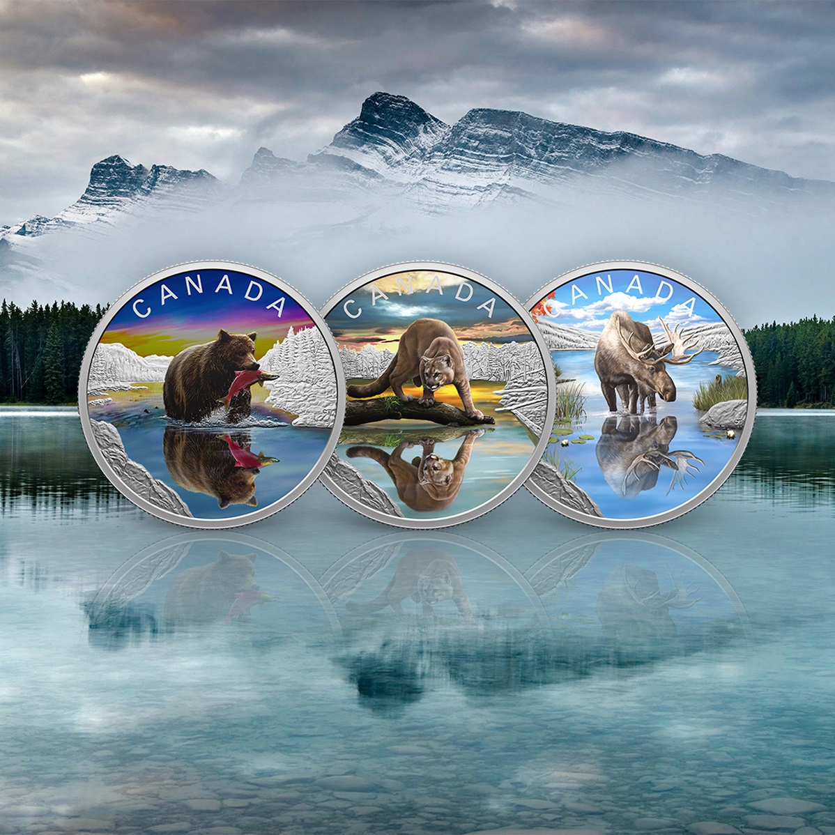 (W037.20.D.2024.247106) Canada 20 Dollars Moose 2024 - Proof silver (blog illustration) (zoom)