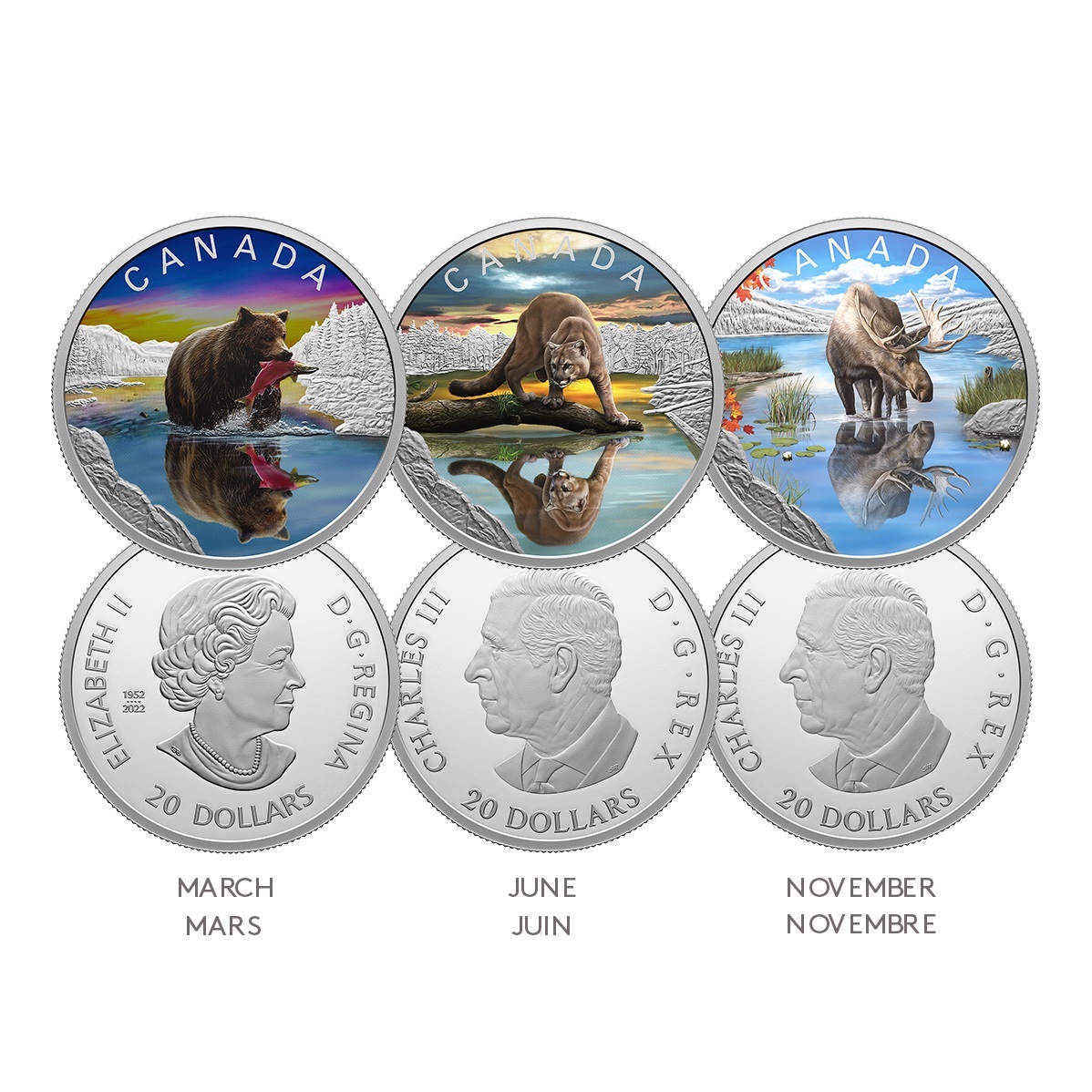 (W037.20.D.2024.247106) Canada 20 Dollars Moose 2024 - Proof silver (blog) (zoom)
