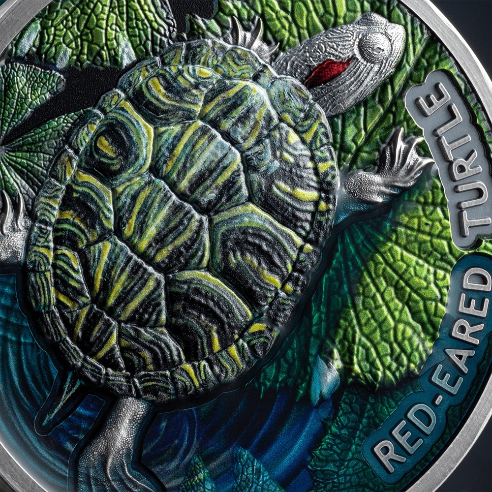 (W160.2.D.2024.2.oz.Ag.4) 2 Dollars Niue 2024 2 oz Antique silver - Red-Eared Turtle (zoom)