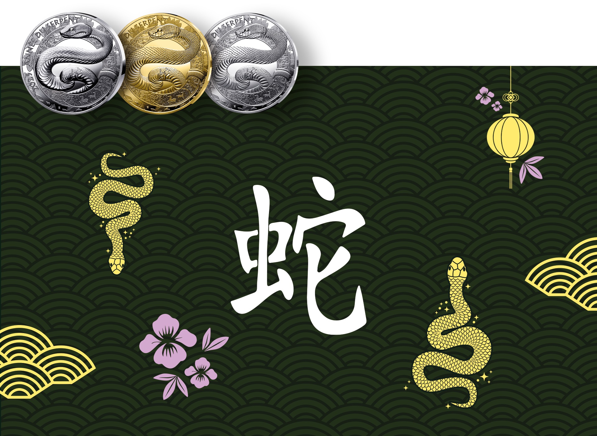 Monnaie de Paris Year of the Snake 2025 (shop illustration) (zoom)